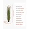 Green Horsetail Grass Plant 2 Pieces PVC Realistic Potted Indoor-Outdoor Decor